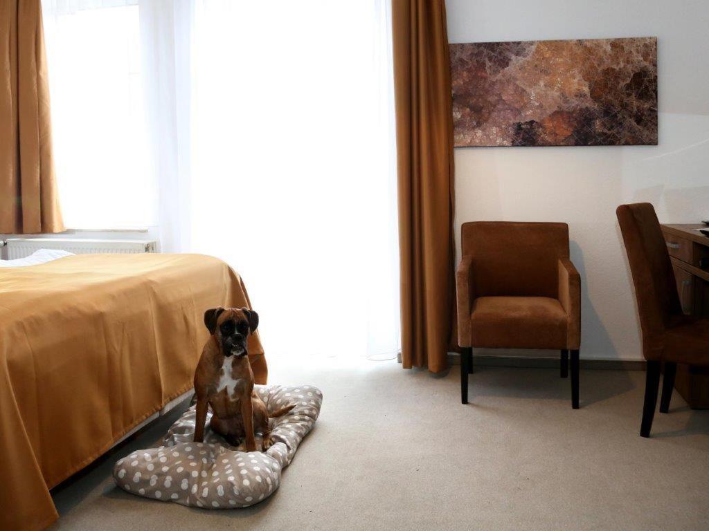 Arthotel Bad Pyrmont Bagian luar foto